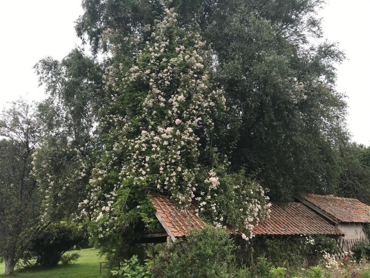 Le Jardin Sauvage Bed & Breakfast Maintenay Bagian luar foto