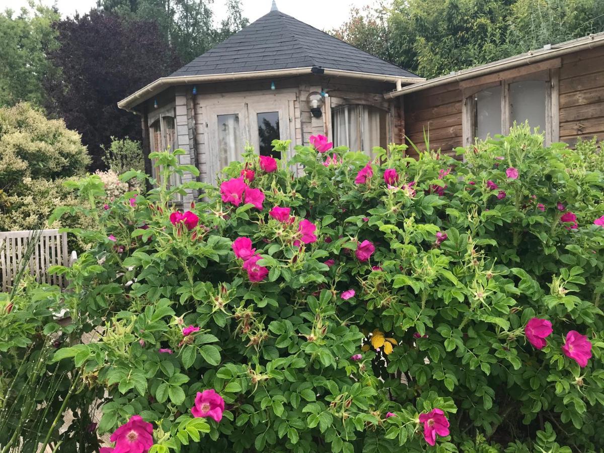 Le Jardin Sauvage Bed & Breakfast Maintenay Bagian luar foto