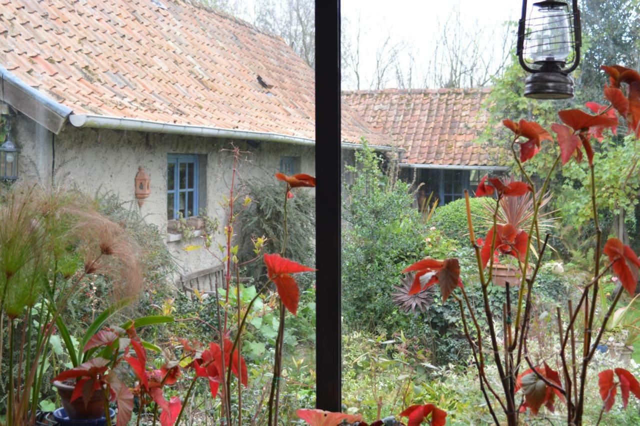 Le Jardin Sauvage Bed & Breakfast Maintenay Bagian luar foto
