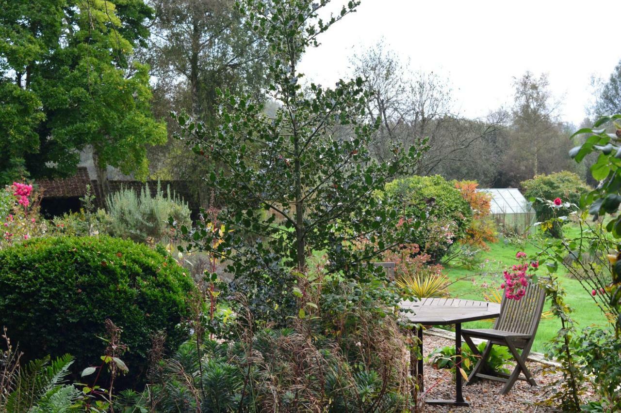 Le Jardin Sauvage Bed & Breakfast Maintenay Bagian luar foto