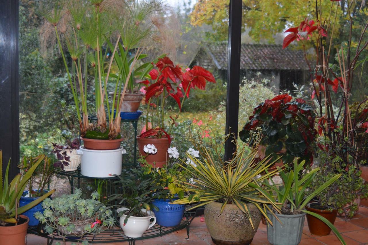 Le Jardin Sauvage Bed & Breakfast Maintenay Bagian luar foto