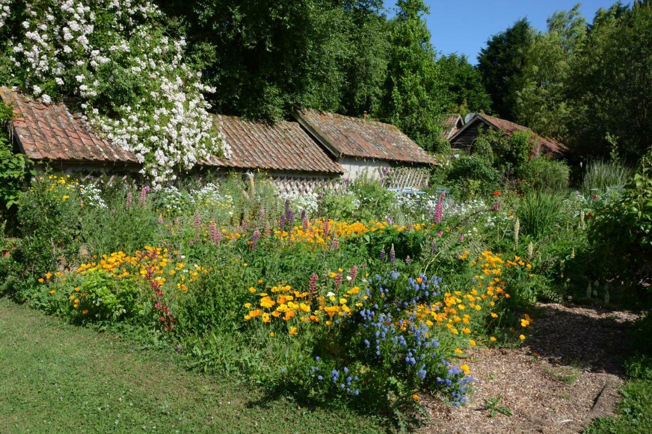 Le Jardin Sauvage Bed & Breakfast Maintenay Bagian luar foto