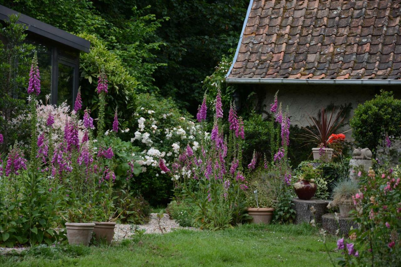 Le Jardin Sauvage Bed & Breakfast Maintenay Bagian luar foto