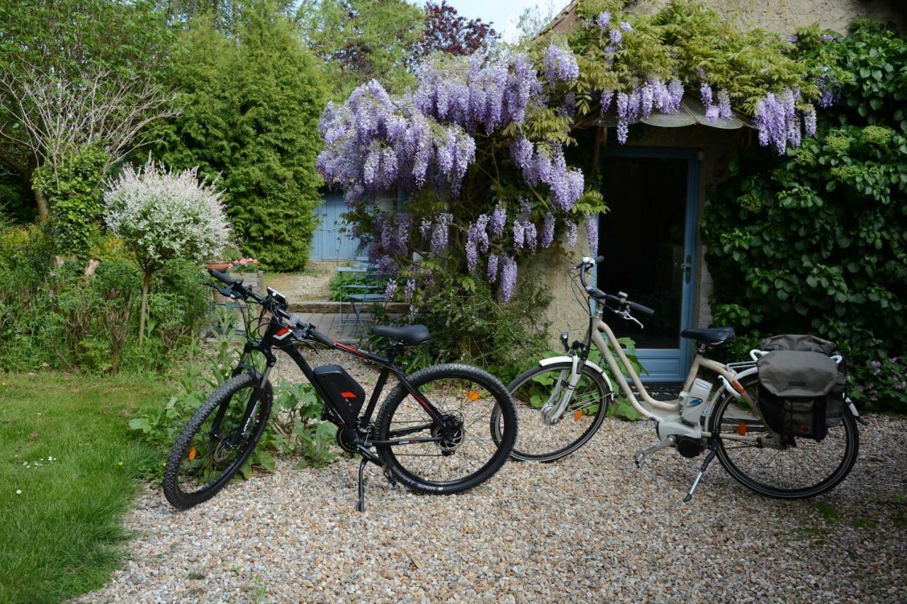 Le Jardin Sauvage Bed & Breakfast Maintenay Bagian luar foto