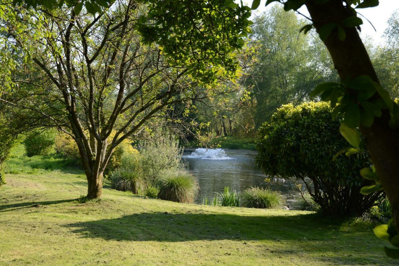 Le Jardin Sauvage Bed & Breakfast Maintenay Bagian luar foto